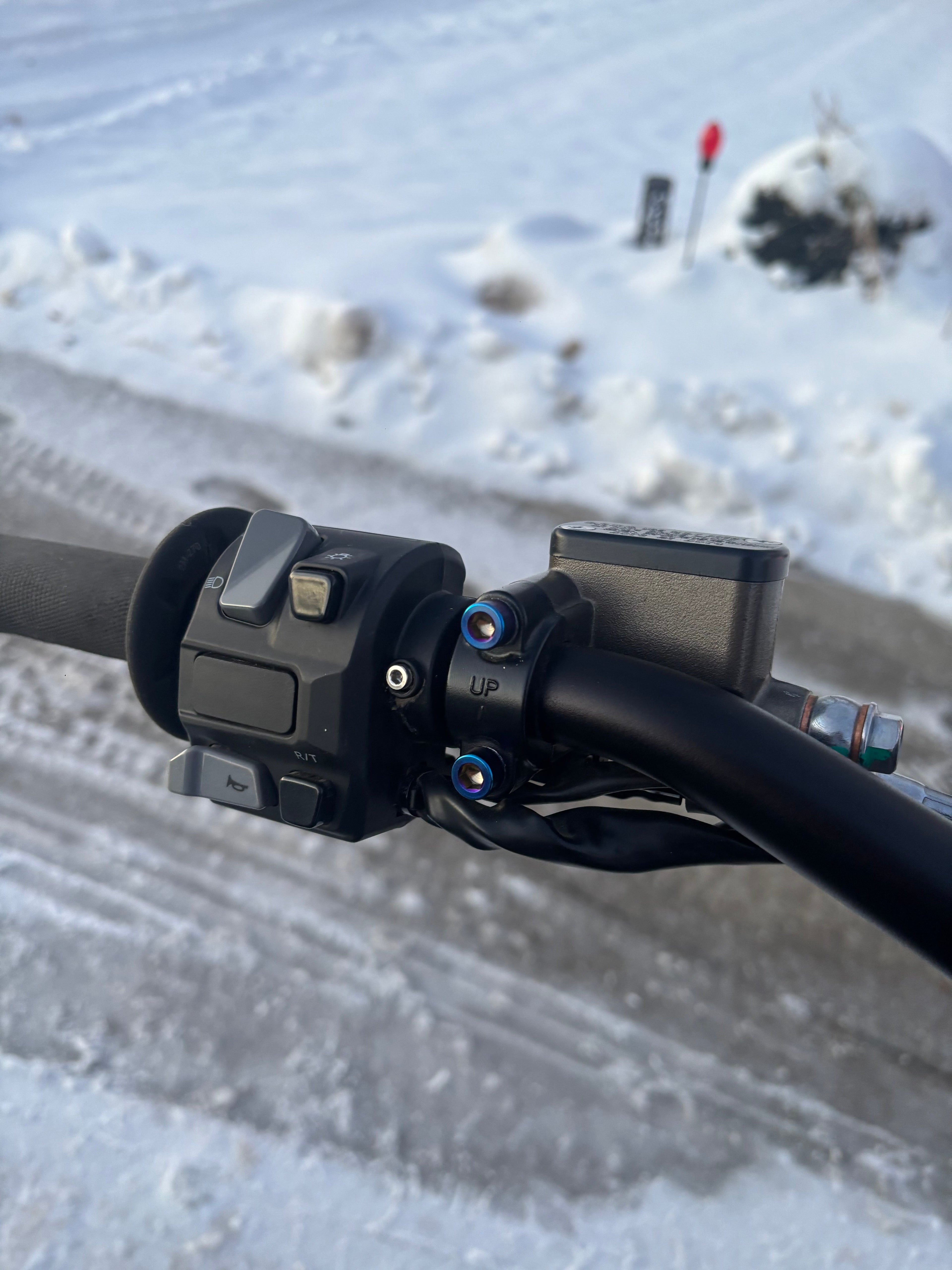 ultra bee brake mount titanium