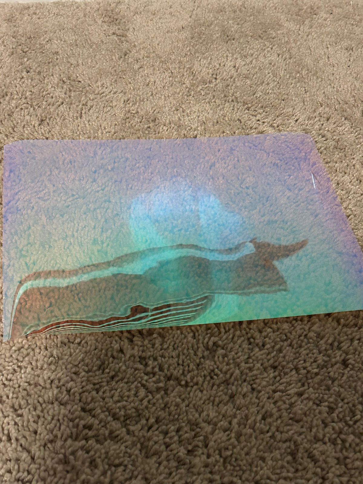 Baja light tint